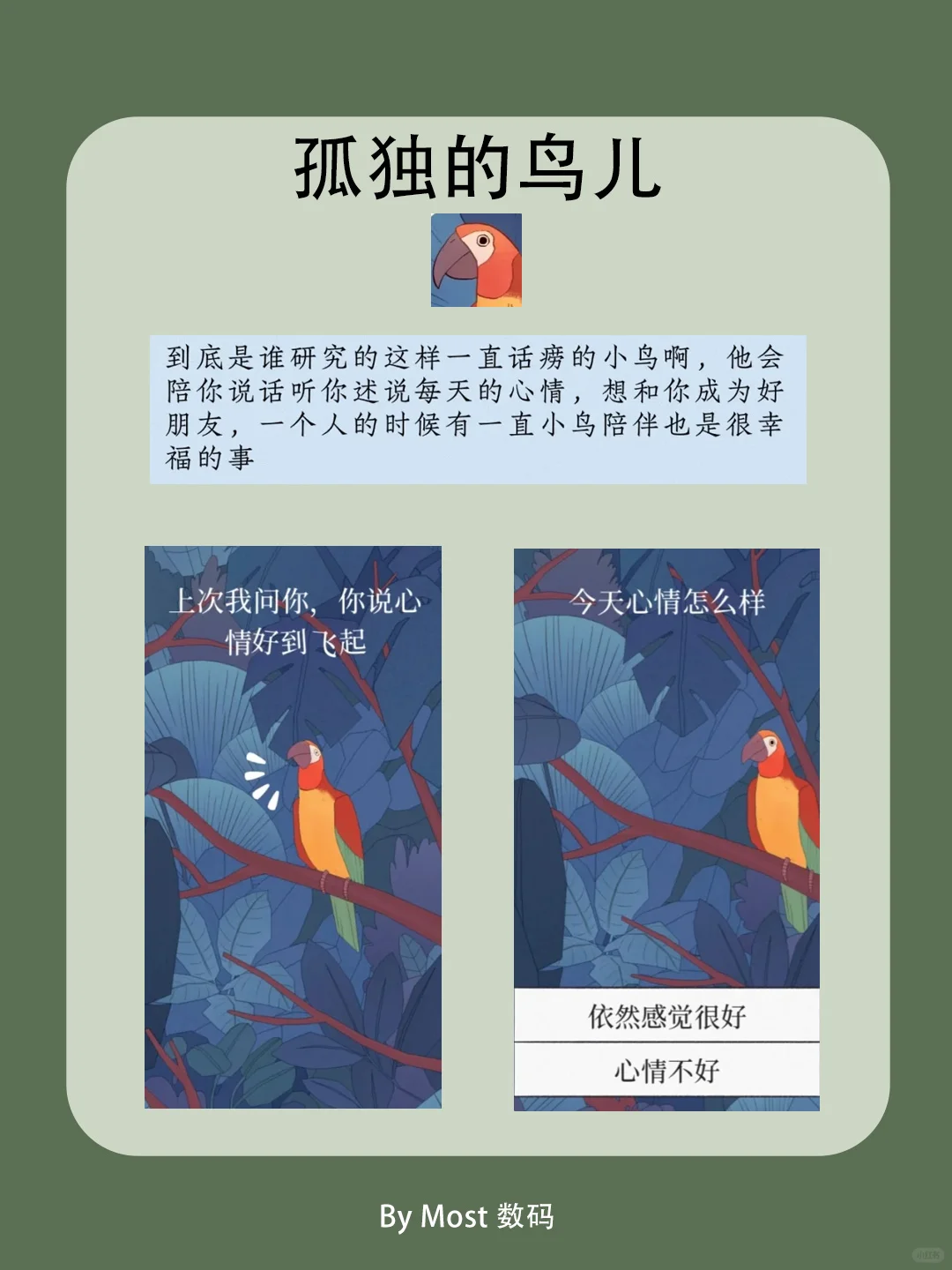 女生必备app！好用到哭！