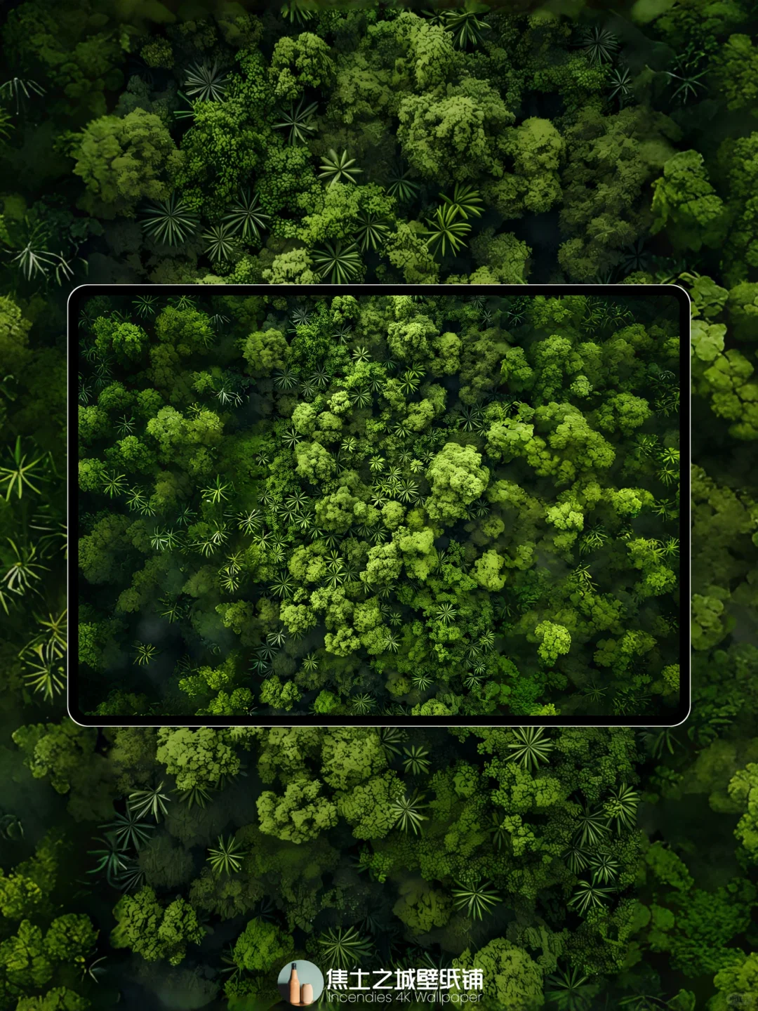 全端壁纸 | 绿意盎然Ⅳ