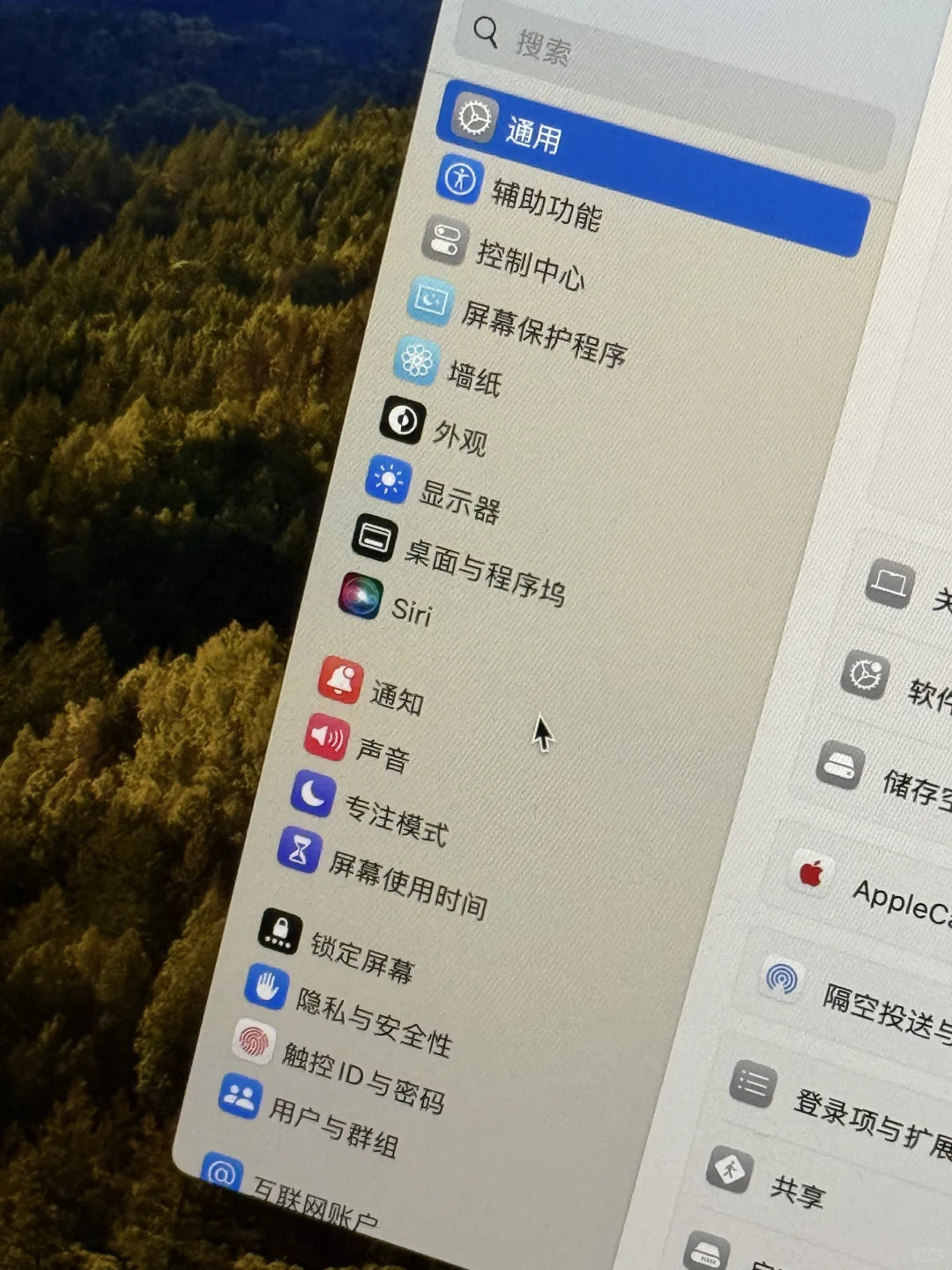 MacBook 新手入门！电脑里都有什么？💻
