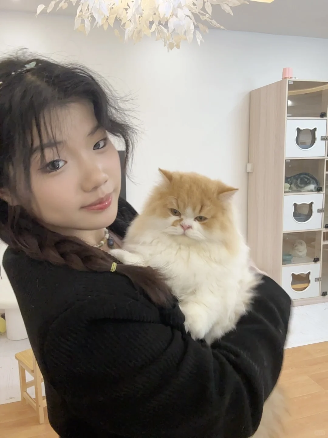 撸猫、电玩、电影和约会!四个愿望一次满足