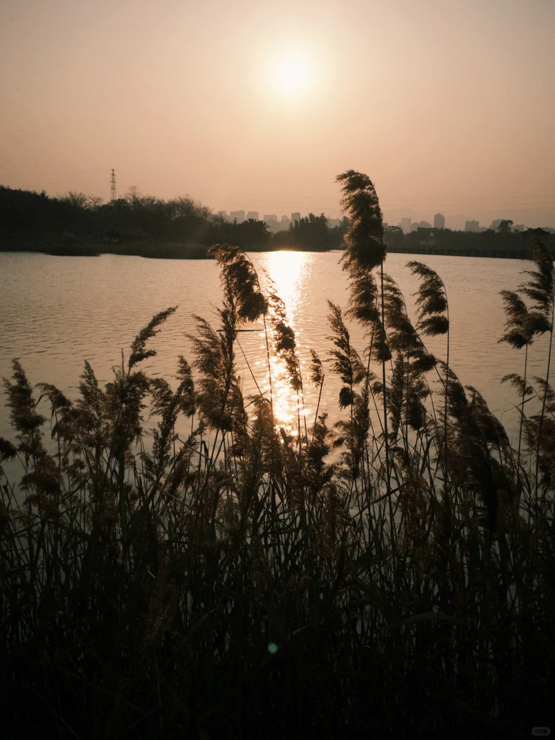 想看看大家用手机app拍的照片