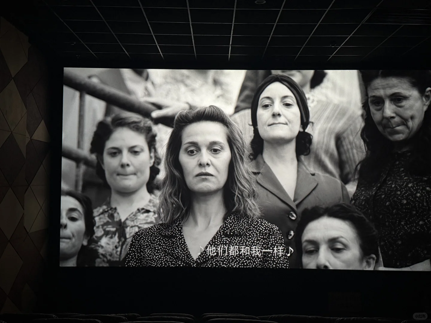 最近看的最激烈的一场电影🎬！