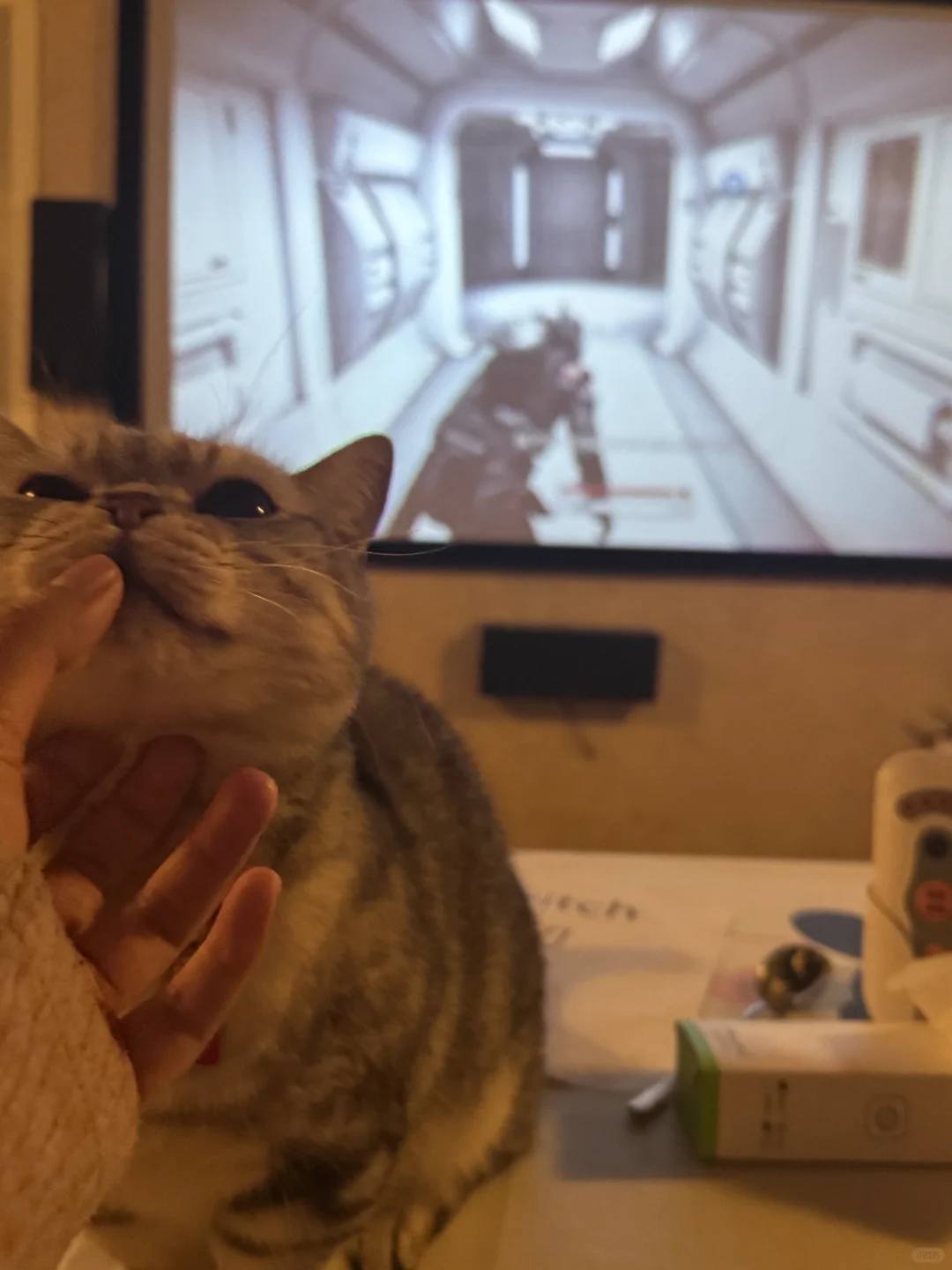 撸猫、电玩、电影和约会!四个愿望一次满足