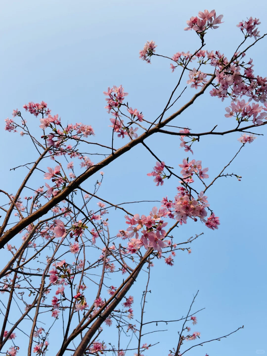 想看看大家用手机app拍的照片