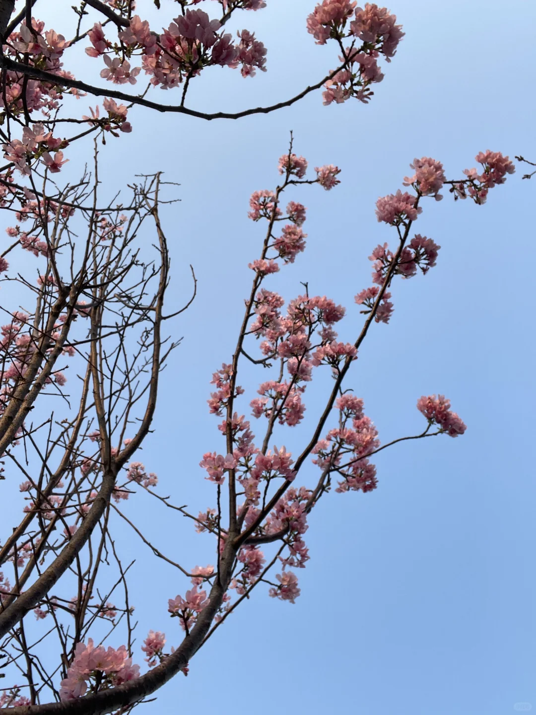 想看看大家用手机app拍的照片