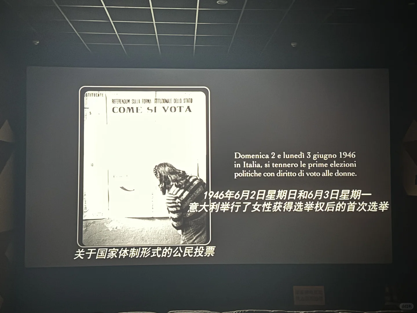 最近看的最激烈的一场电影🎬！