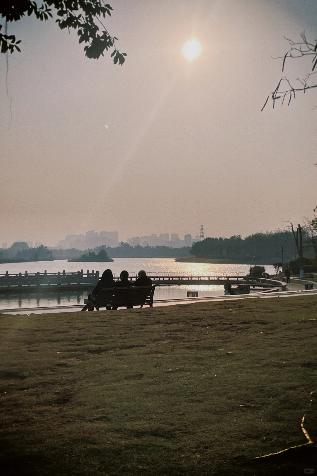 想看看大家用手机app拍的照片