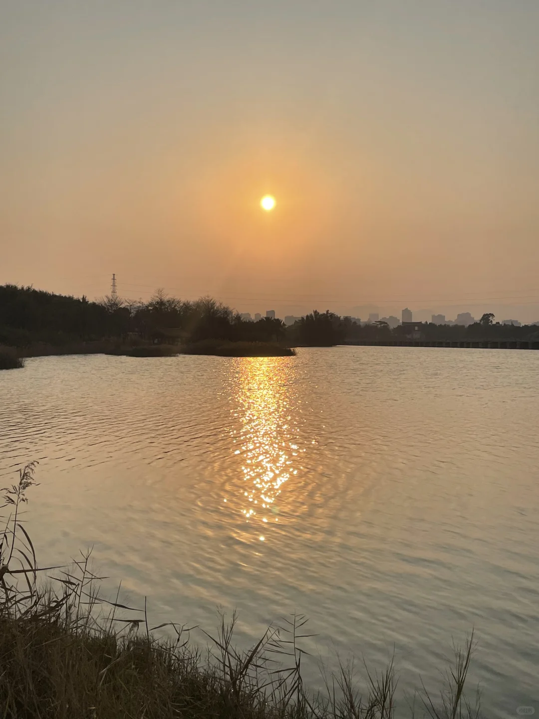 想看看大家用手机app拍的照片