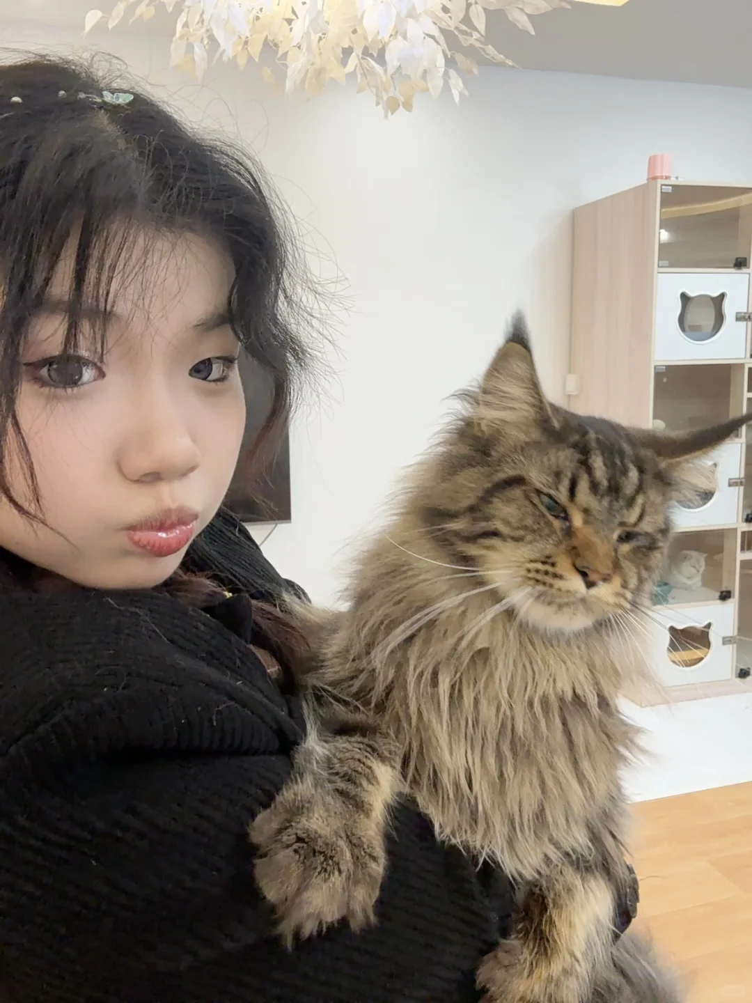 撸猫、电玩、电影和约会!四个愿望一次满足