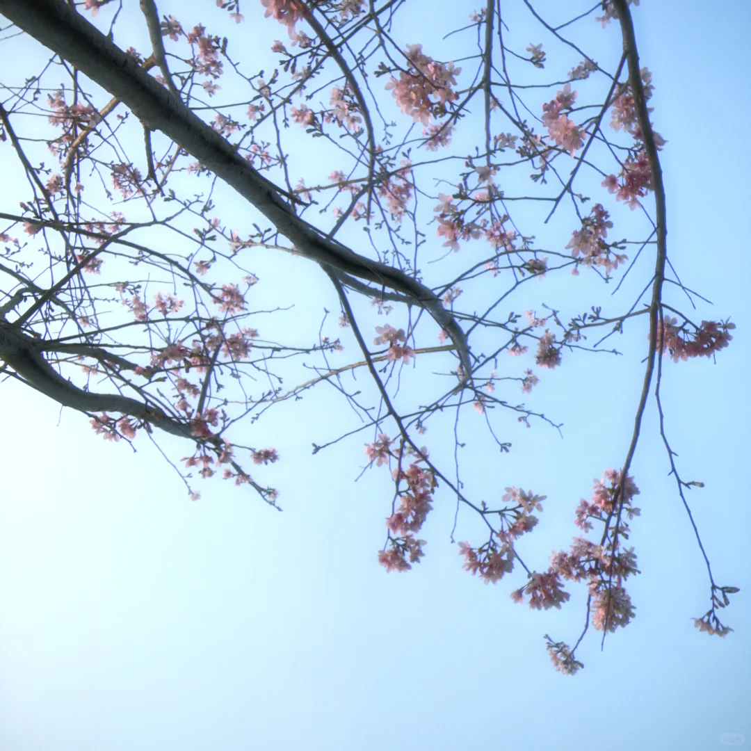 想看看大家用手机app拍的照片