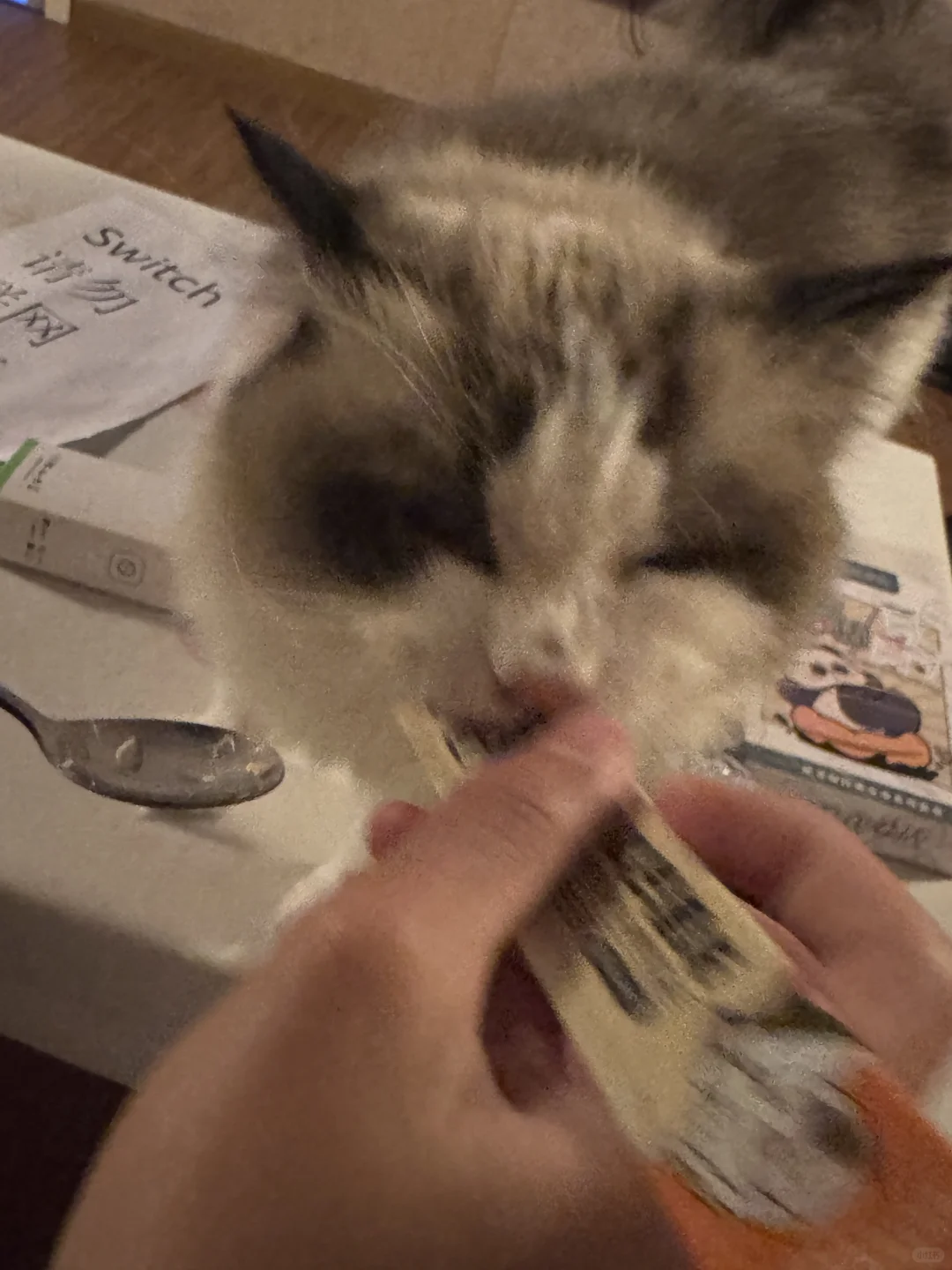 撸猫、电玩、电影和约会!四个愿望一次满足