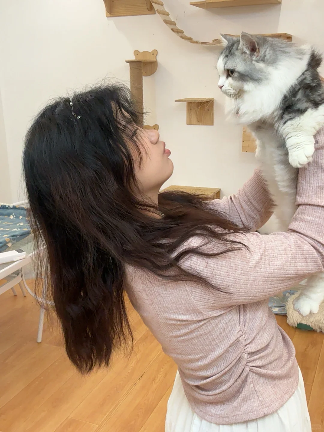 撸猫、电玩、电影和约会!四个愿望一次满足