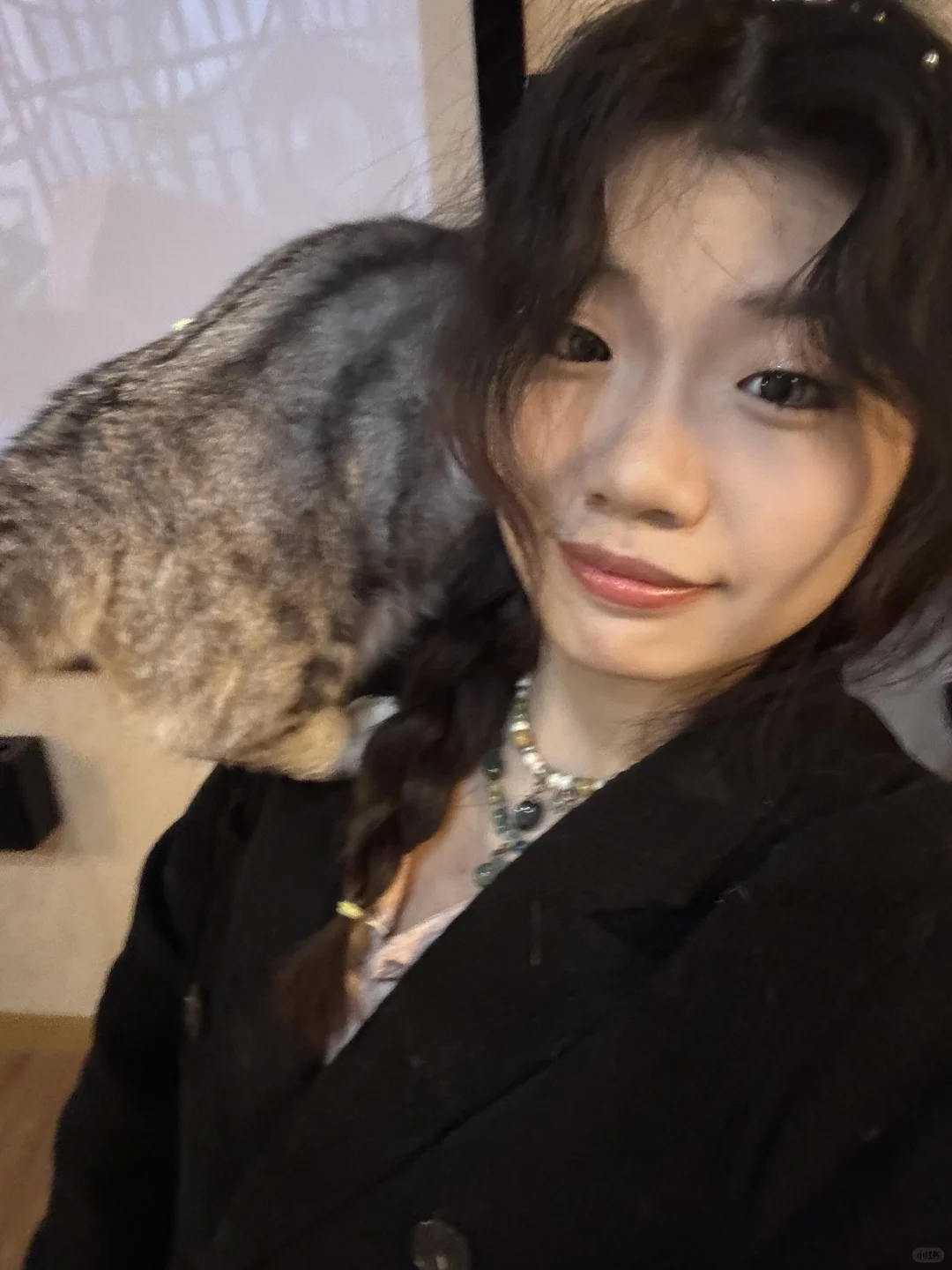 撸猫、电玩、电影和约会!四个愿望一次满足