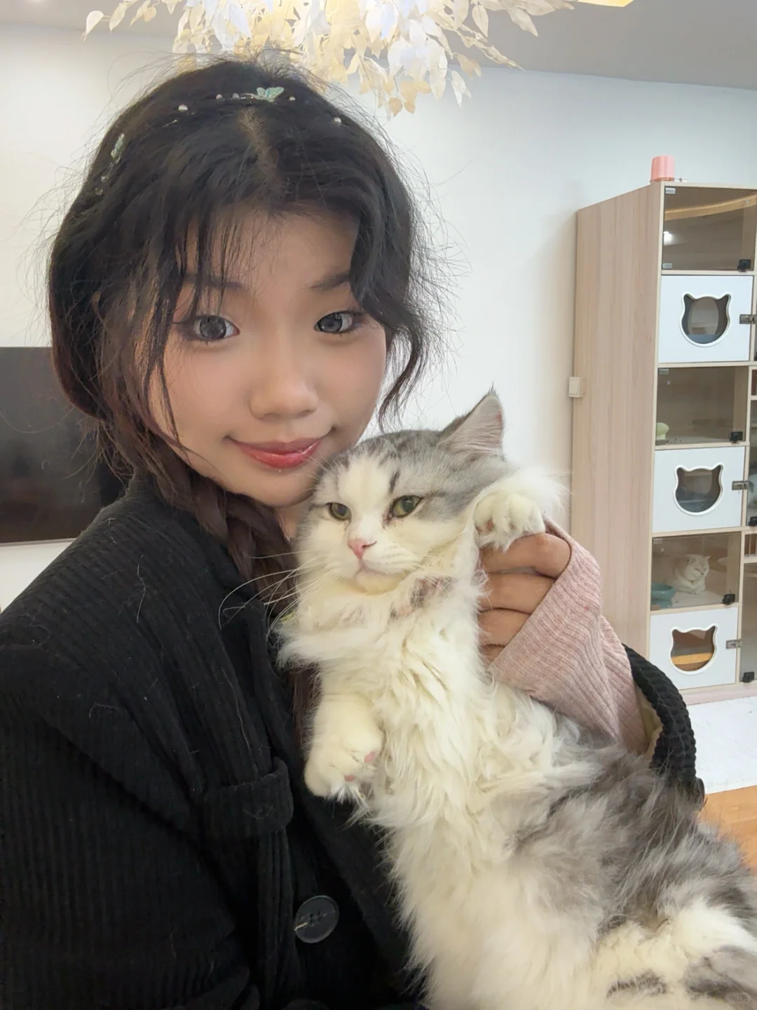 撸猫、电玩、电影和约会!四个愿望一次满足