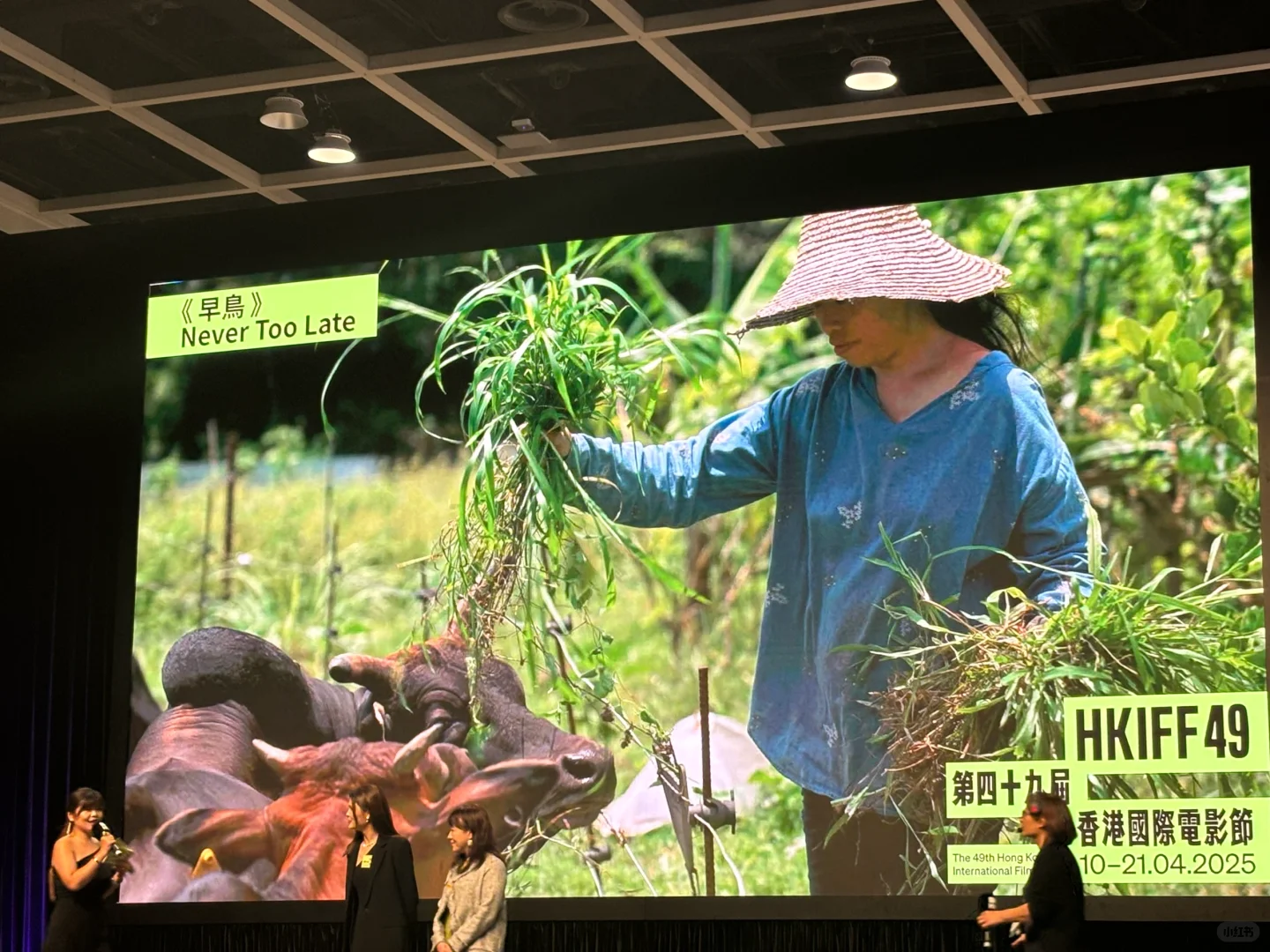 第四十九届香港国际电影节记者招待会开启