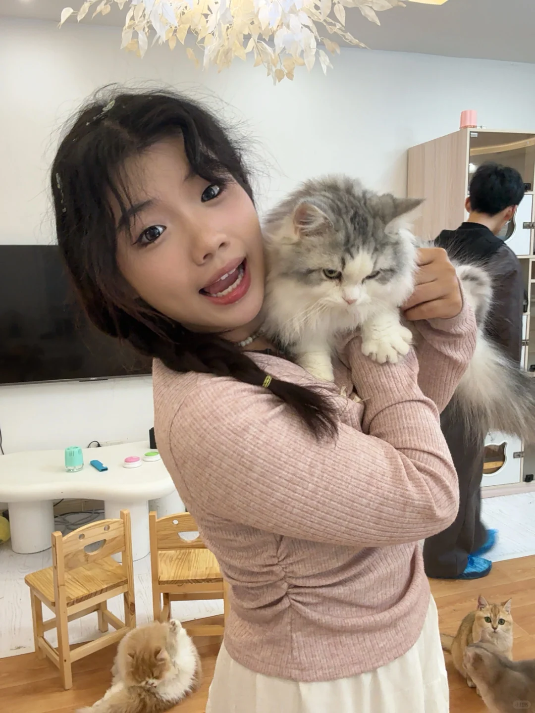 撸猫、电玩、电影和约会!四个愿望一次满足