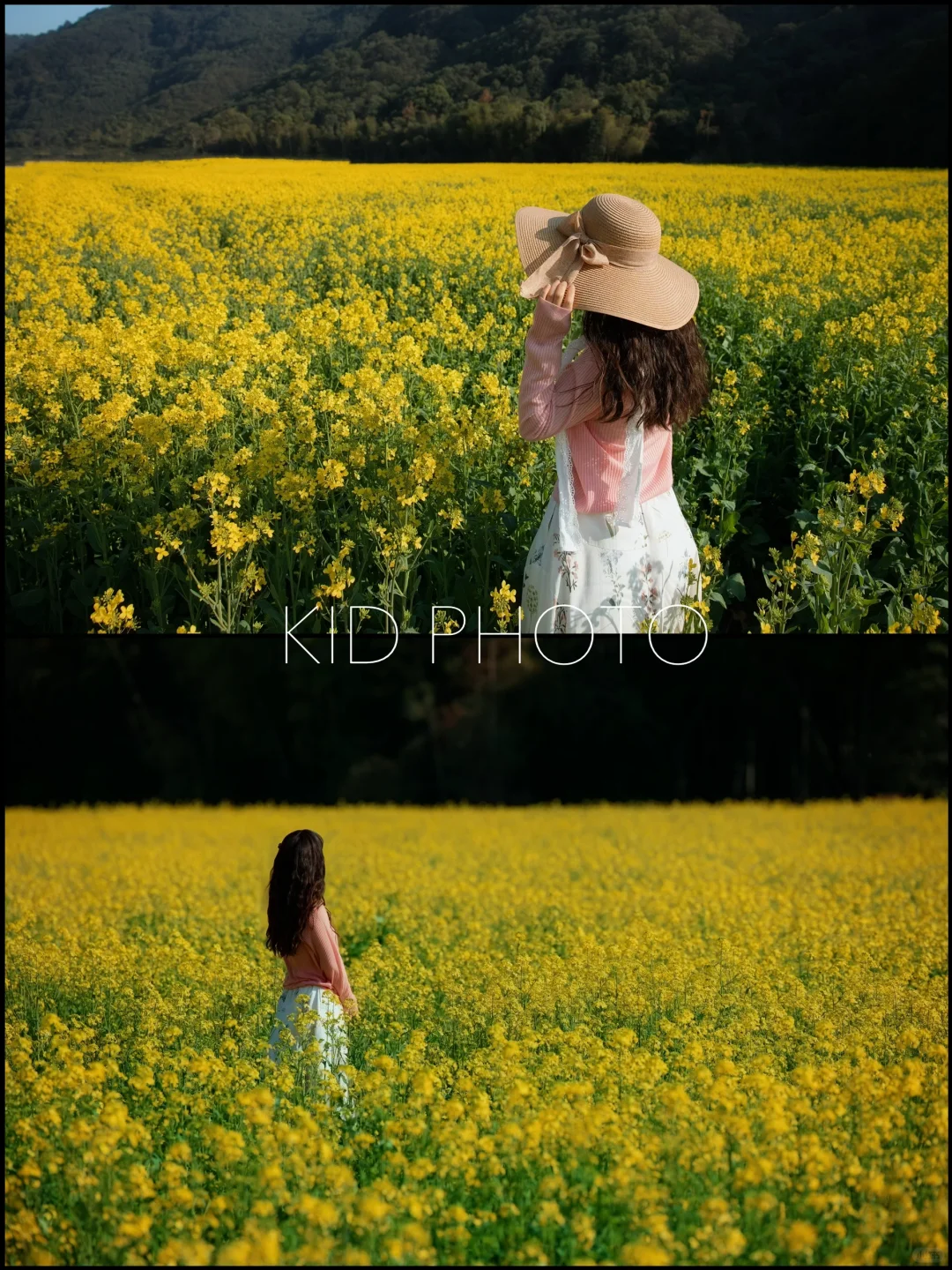 油菜花拍出油画感电影感一点点思路分享