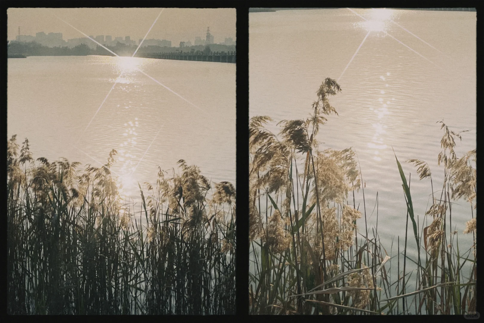 想看看大家用手机app拍的照片