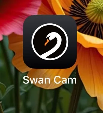 强烈推荐一个手机拍照App📱🔥🔥🔥