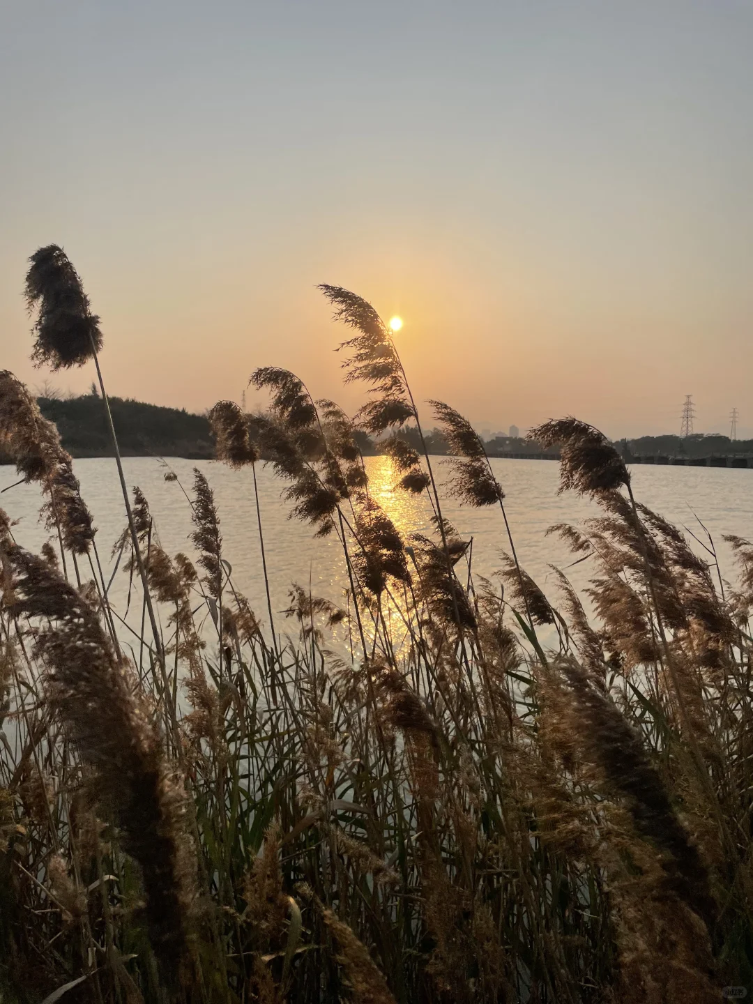 想看看大家用手机app拍的照片