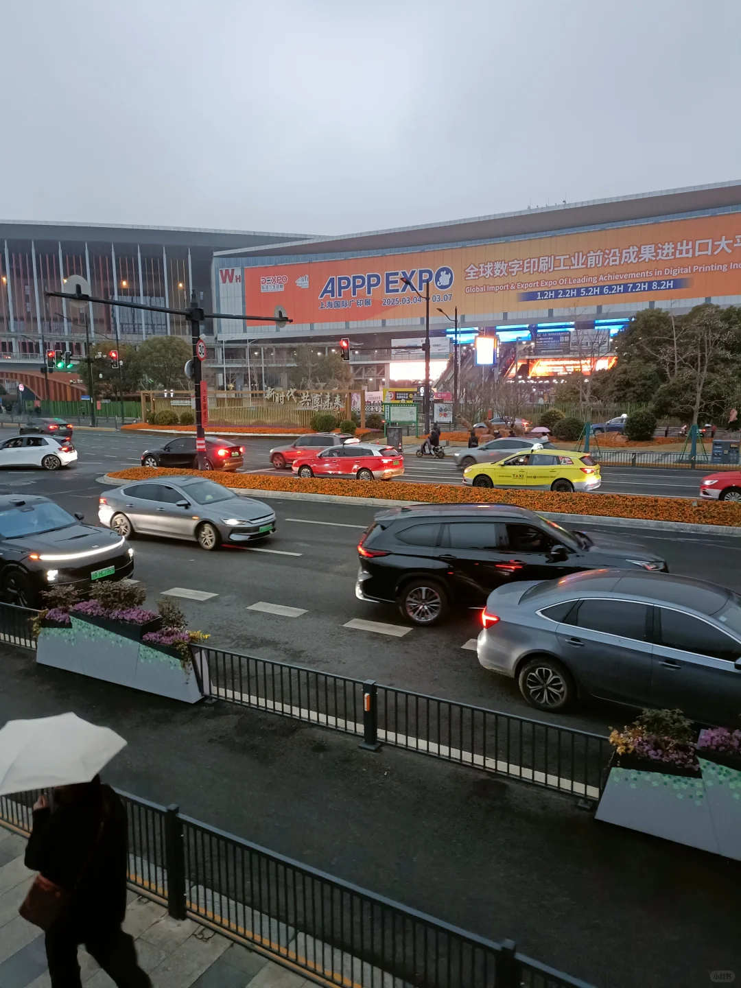 人挤人的华食展第一天