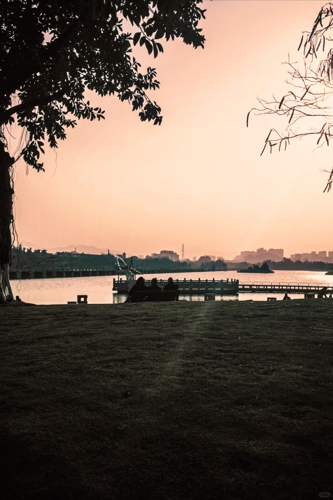 想看看大家用手机app拍的照片