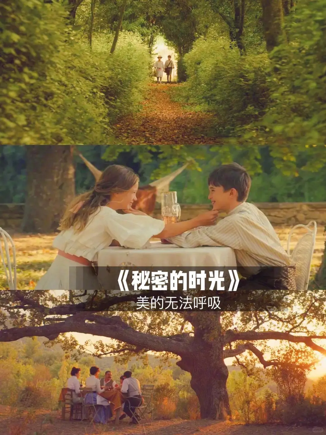 那些看完可以开心一整天的电影。