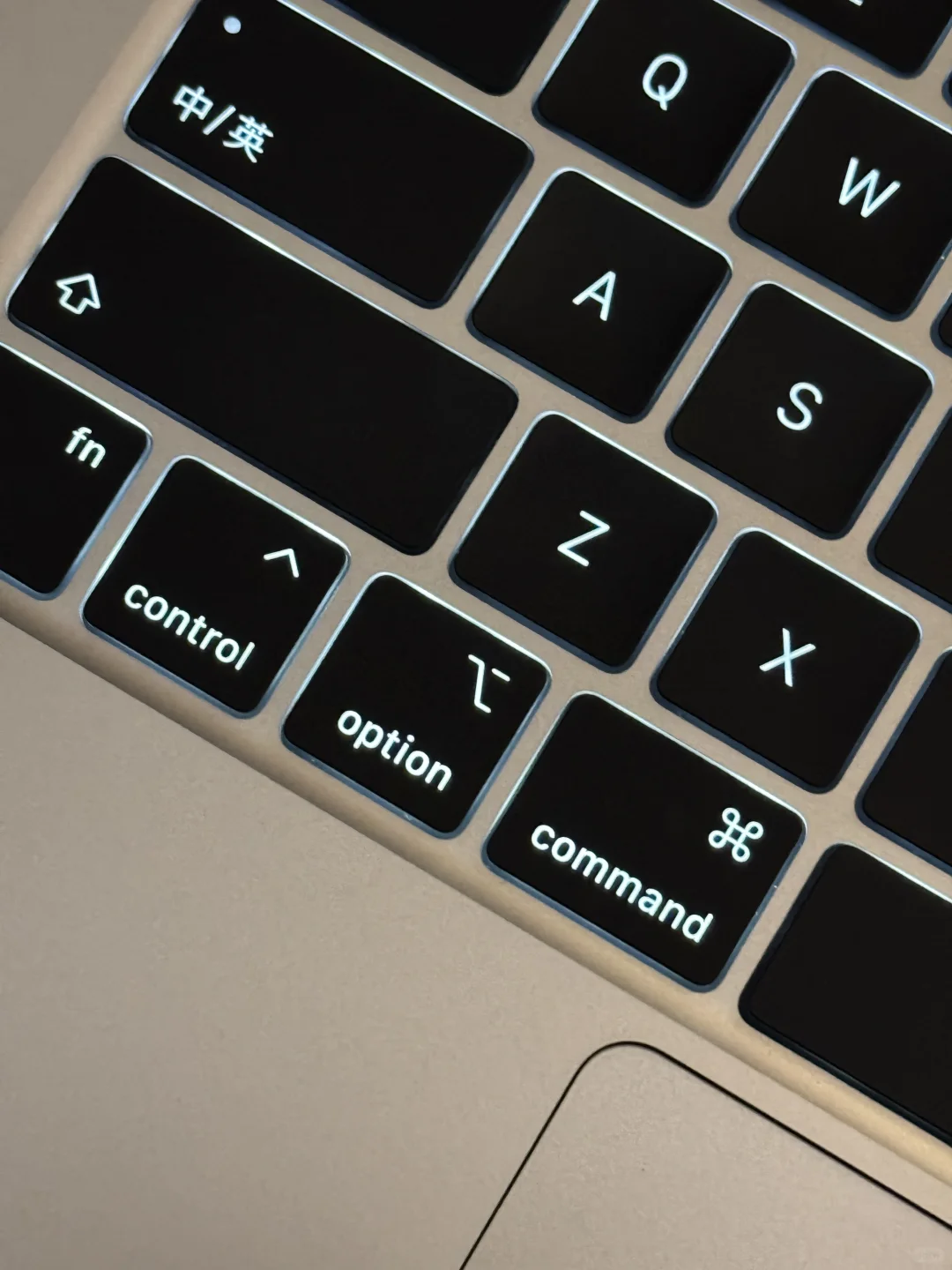 MacBook 新手入门！电脑里都有什么？💻