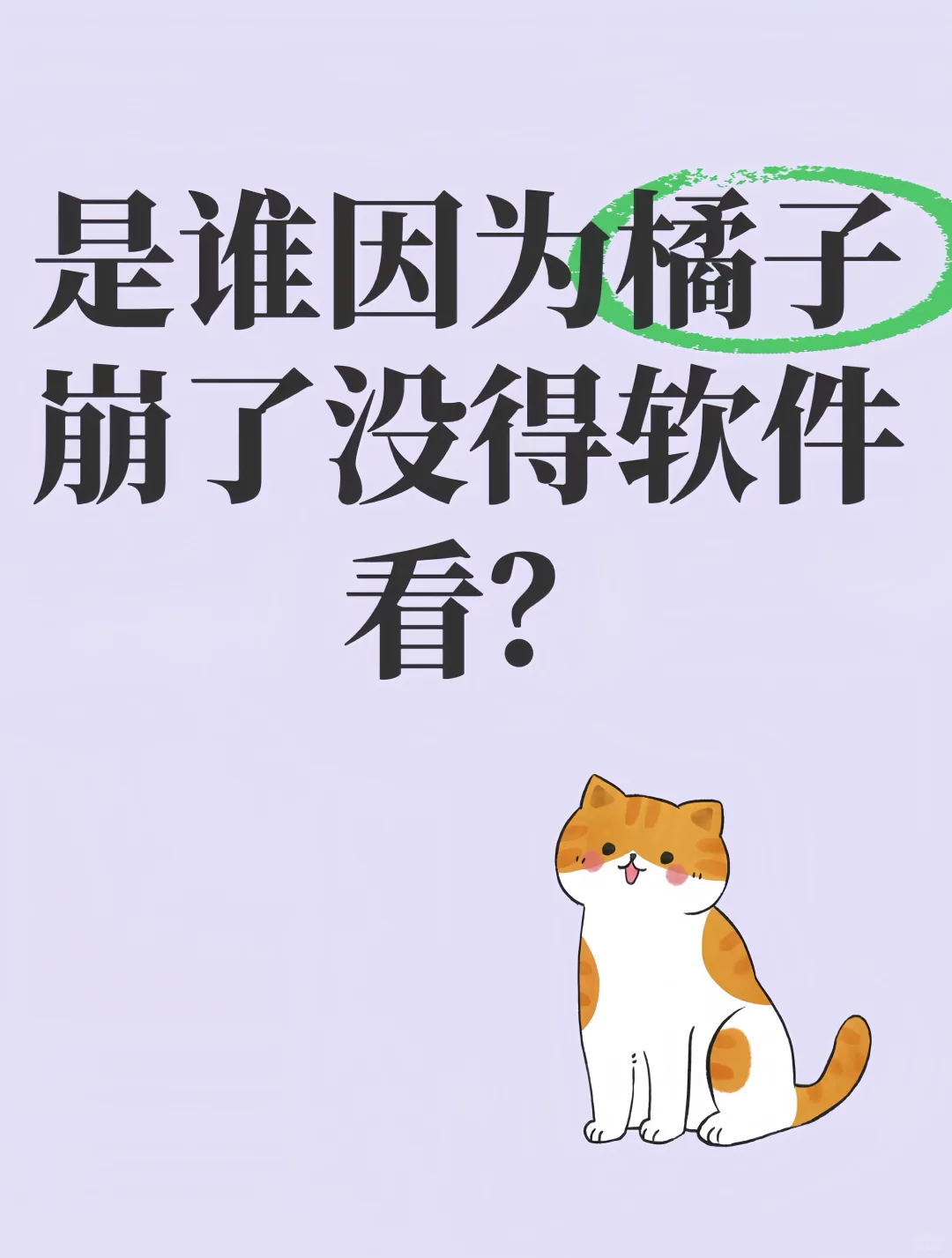 🎬追剧神器大公开!这些宝藏让你告别剧荒❌