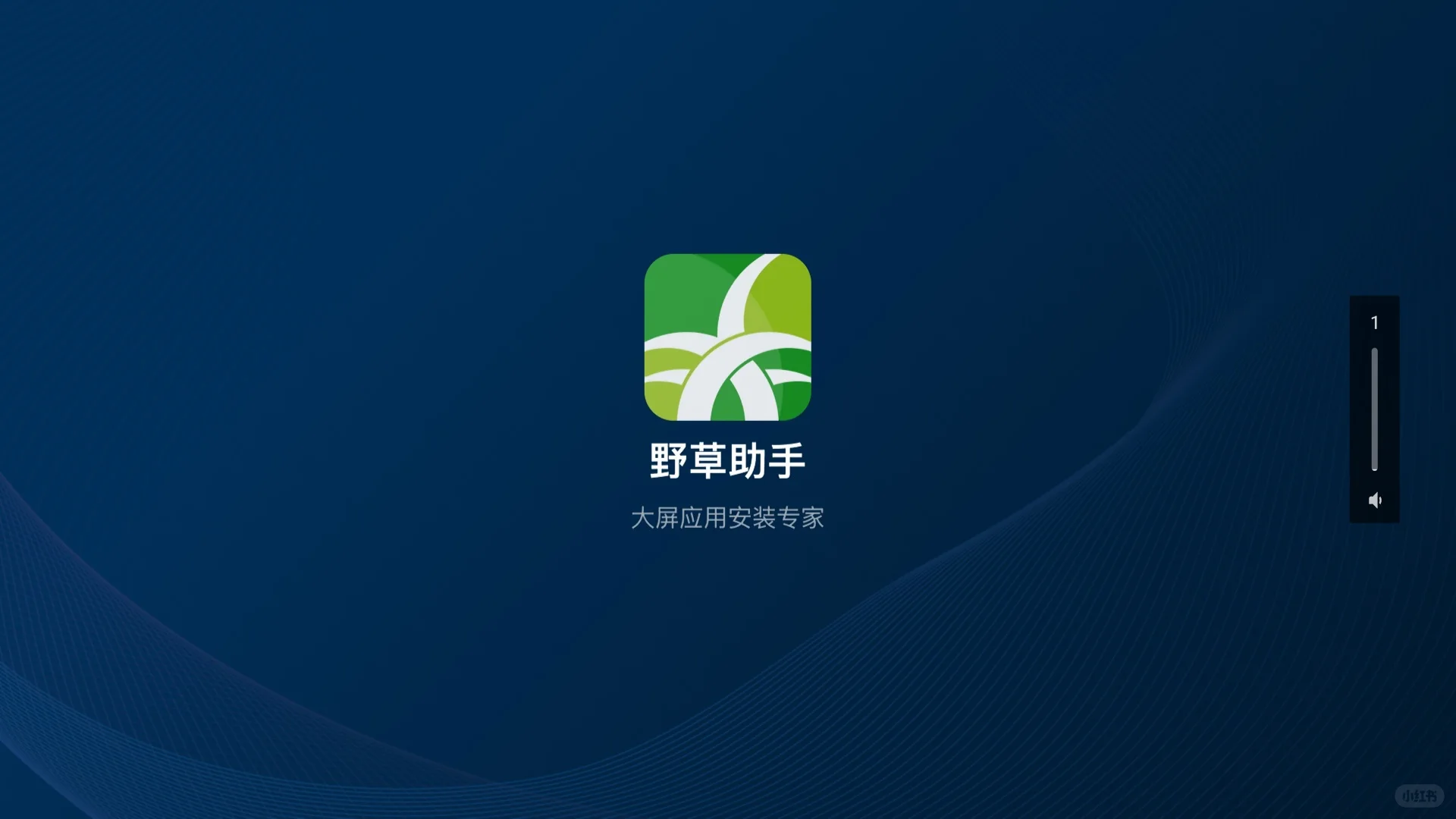 🔥2025电视宝藏APP「野草助手」终极指南