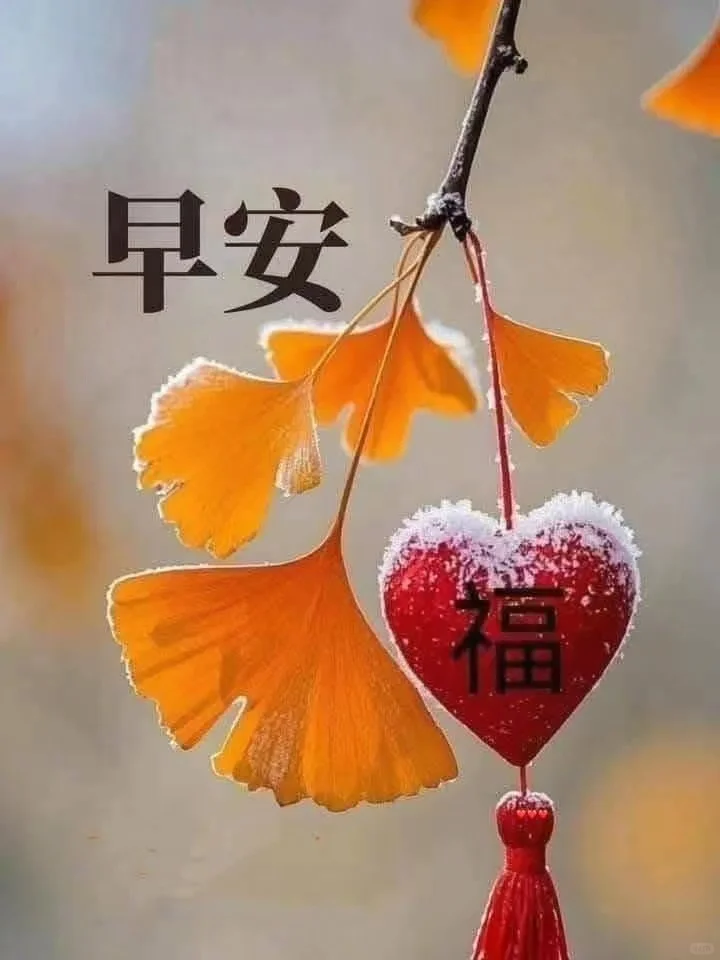 管家婆软件辉煌ERP管理系统行业精细化应用