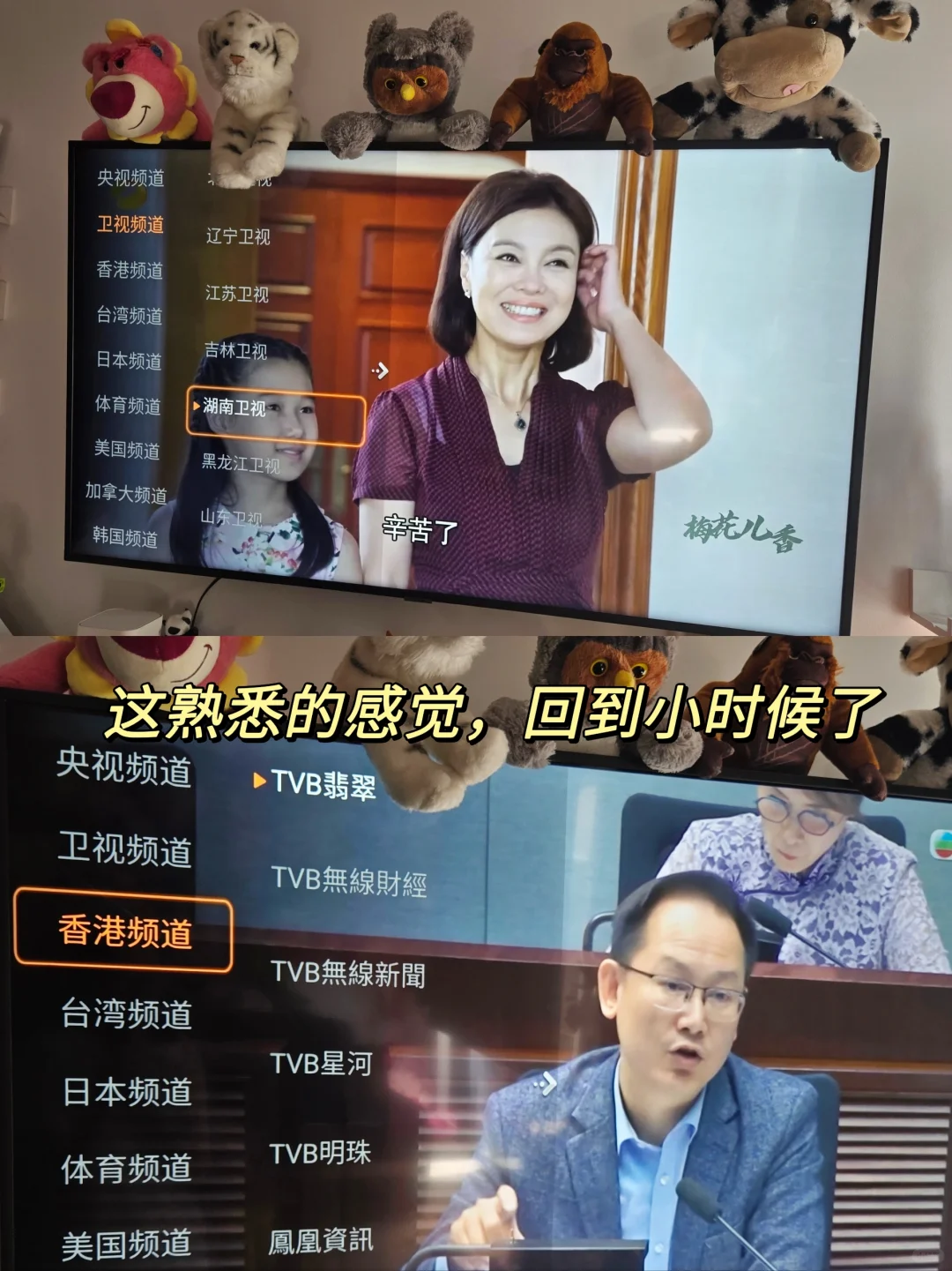 ✨ 电视盒子真香现场!仅付一次终身免费看