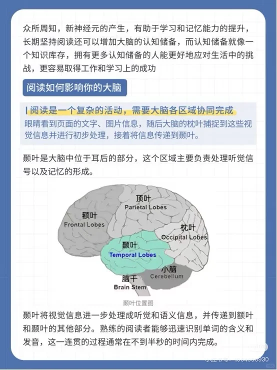 一个训练大脑的宝藏app分享体验