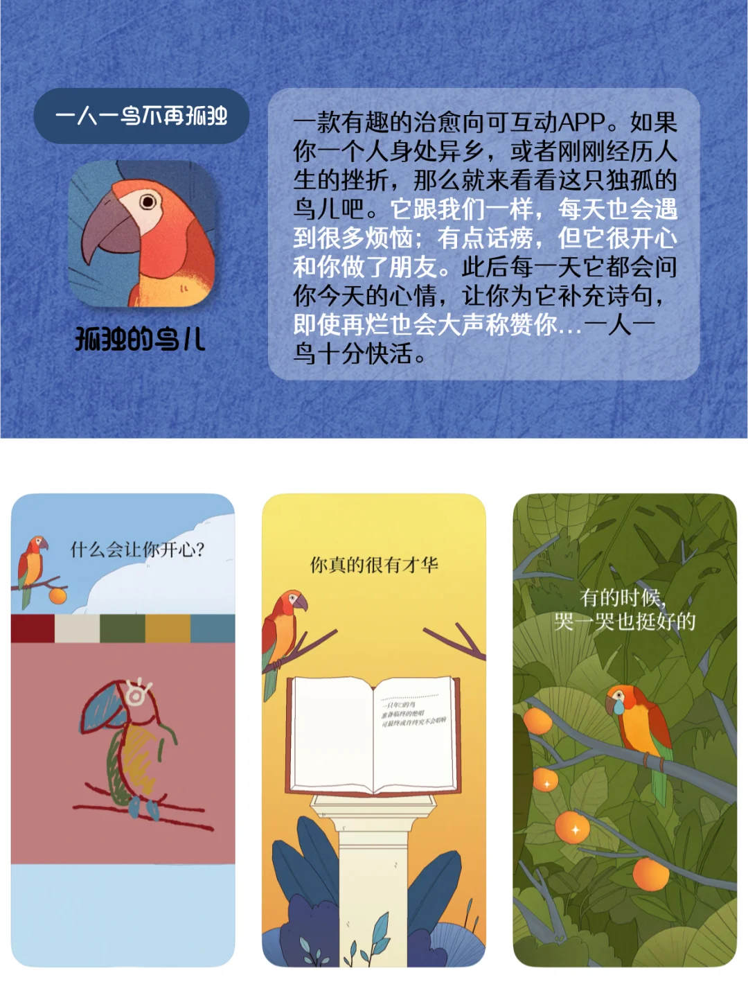 告别烦恼与孤单🌅8款i人必备小众治愈APP