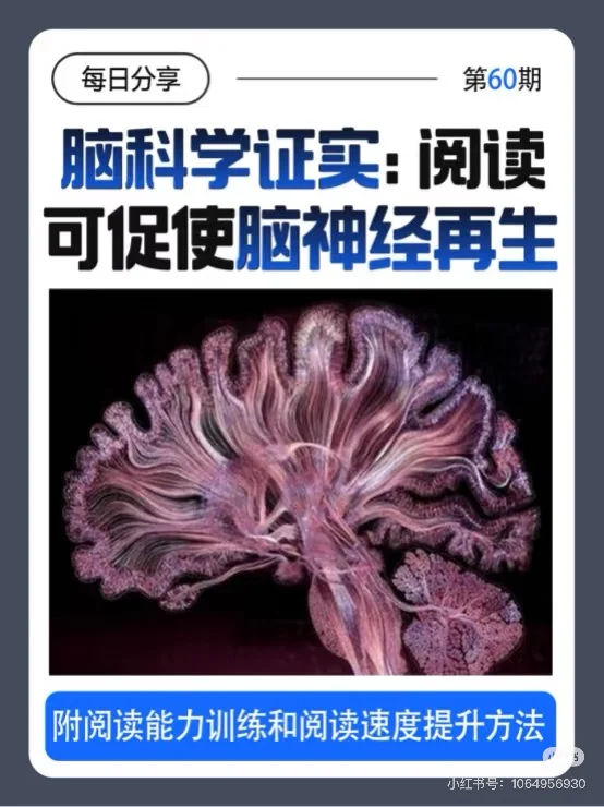 一个训练大脑的宝藏app分享体验