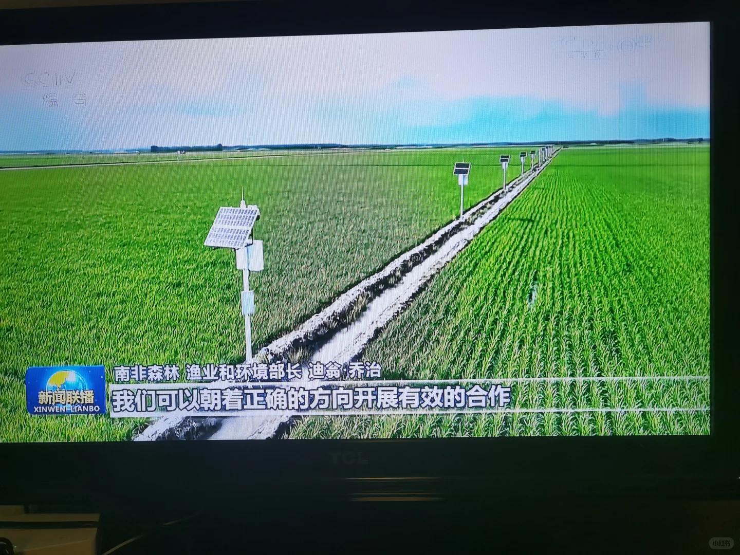 需要电视的看过来