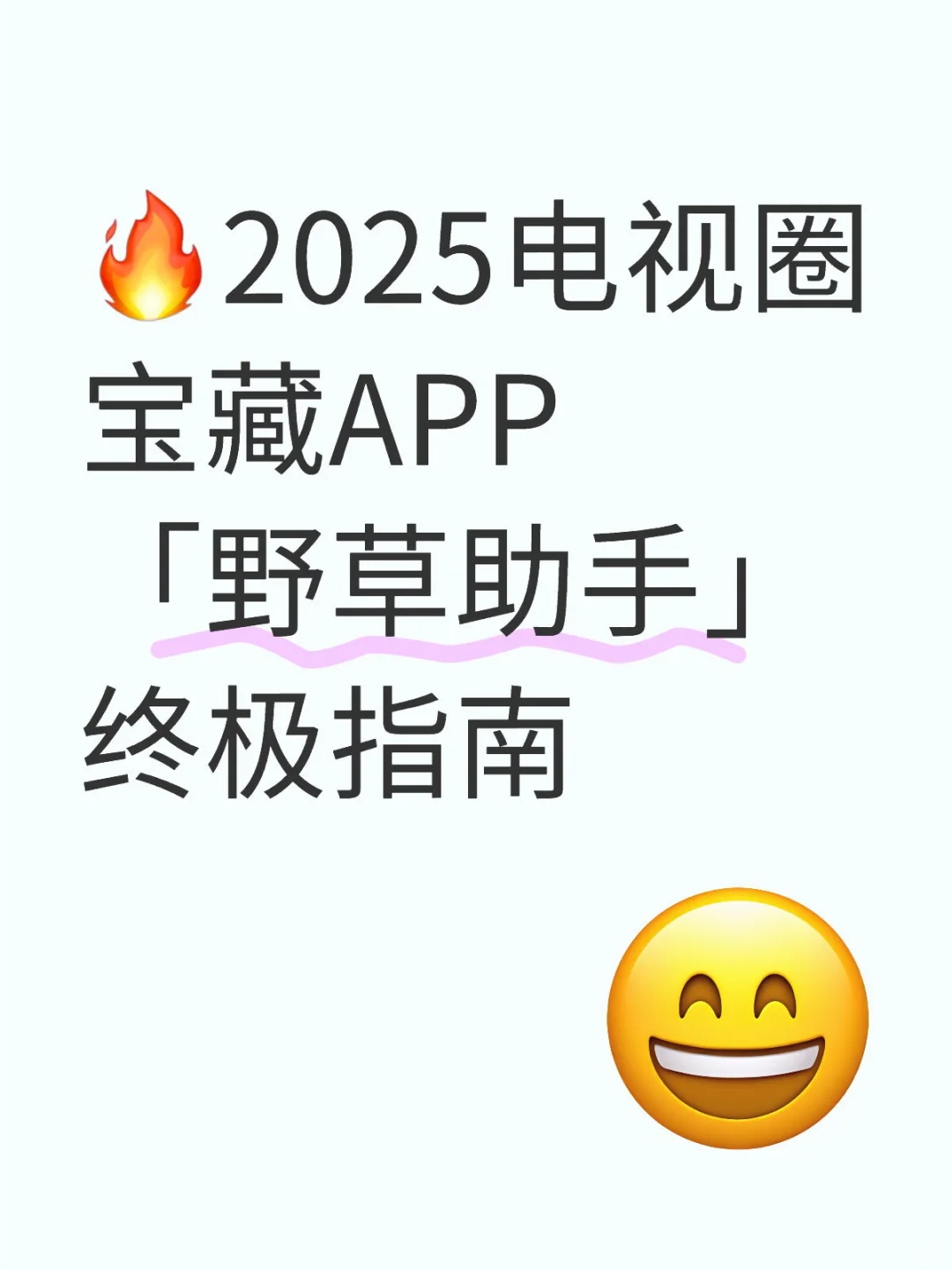 🔥2025电视宝藏APP「野草助手」终极指南