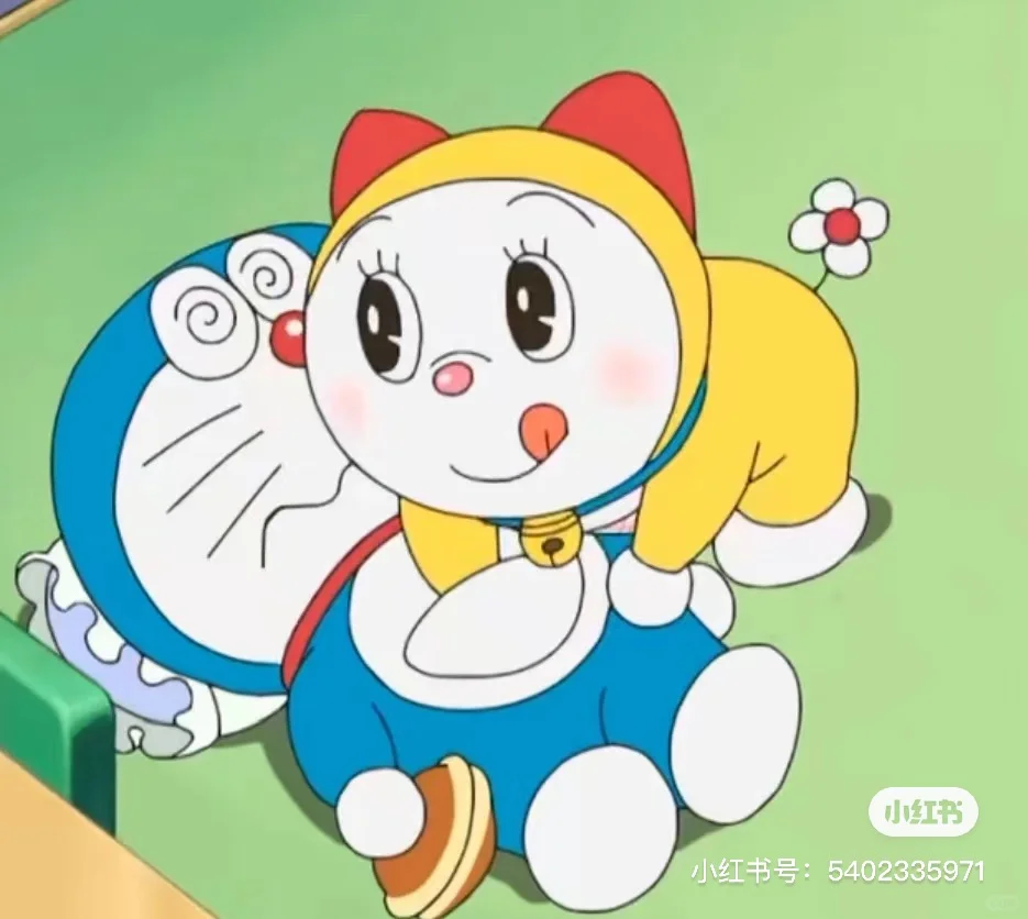 商科转软件工程