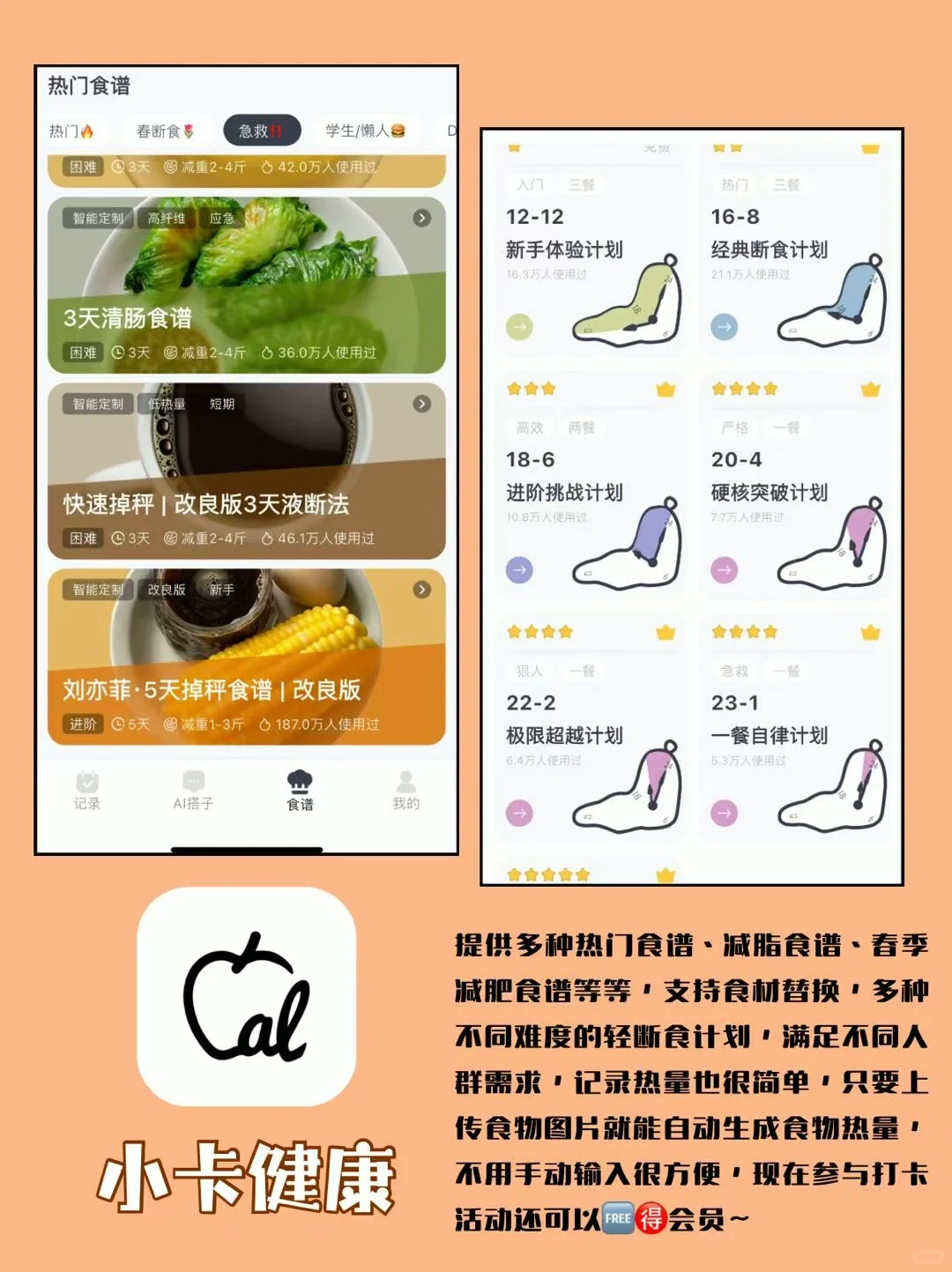 月瘦10斤，春季减肥作弊指南‼️