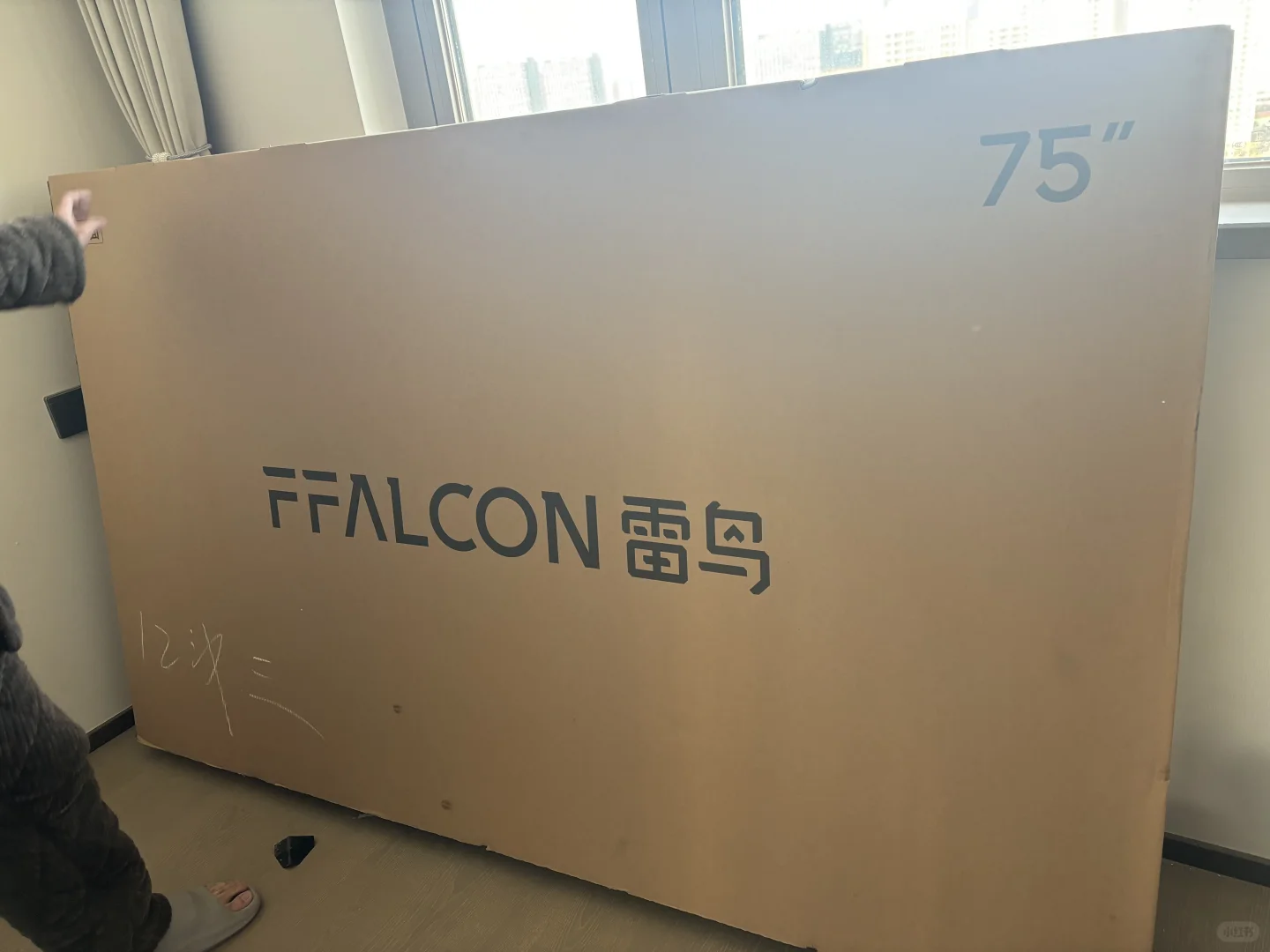 出雷鸟电视机包装盒