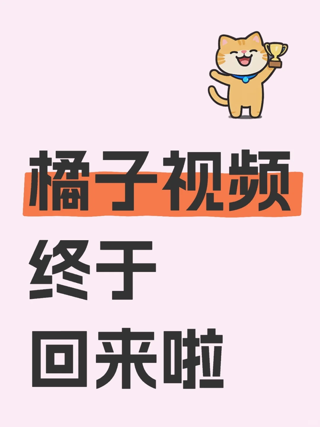 橘子终于回来啦❗️❗️