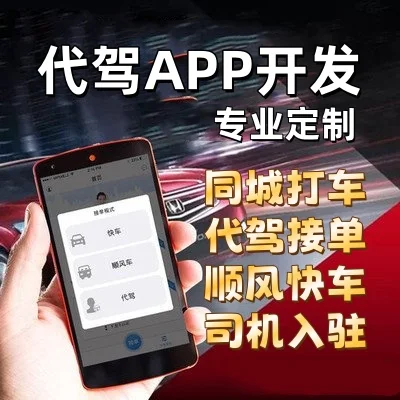 海外打车代驾系统开发城际打车拼车系统源码