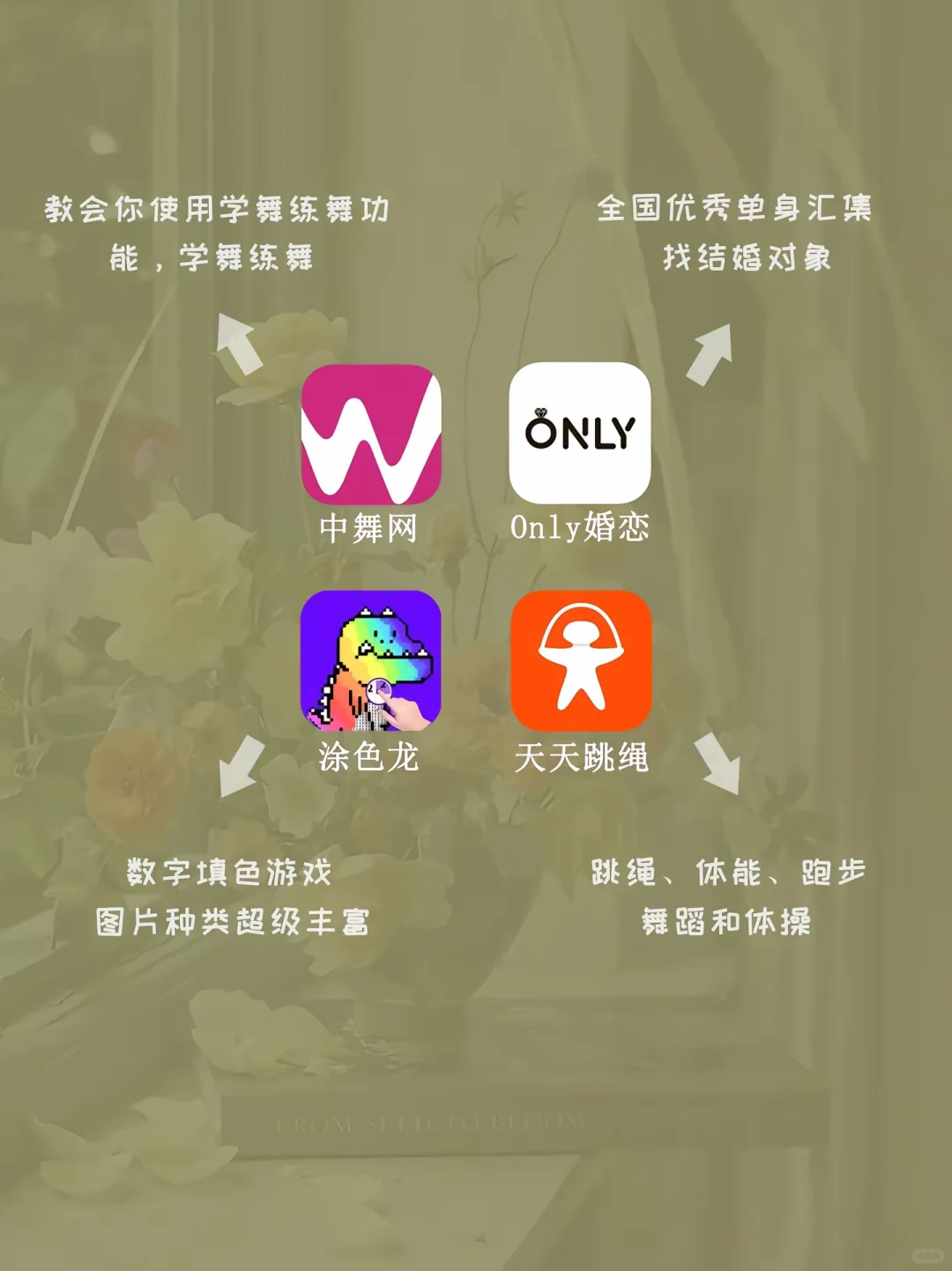 二十个零零后会喜欢的app
