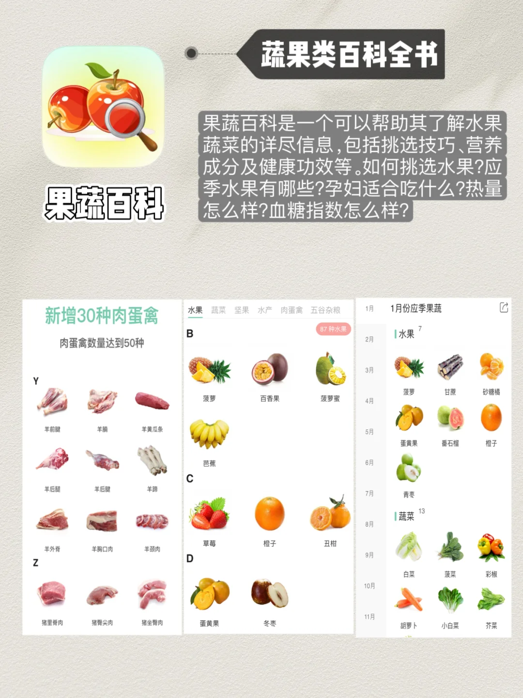 脆皮打工人必备❗️6款超实用中医养生APP⁉️