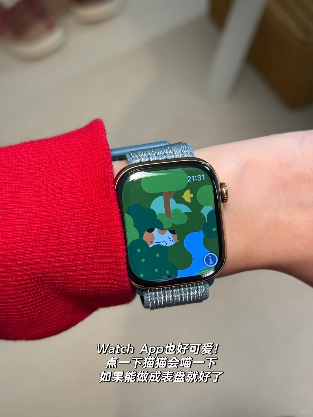 最近挖掘的宝藏小众独立开发者App⁉️