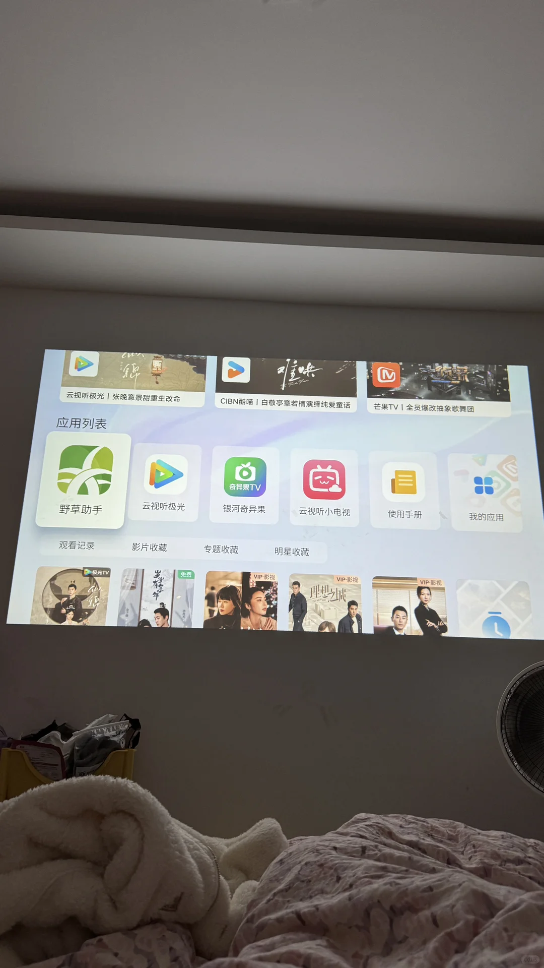 终于在当贝投影仪上下载了野草助手