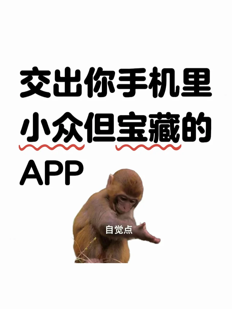 交出你手机里小众但宝藏的app‼️