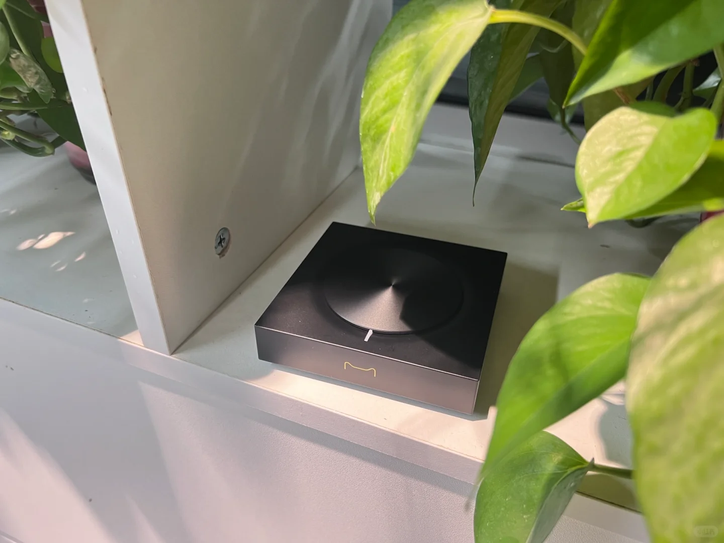 懒人福利！这款电视盒子让你随时观影嗨翻天