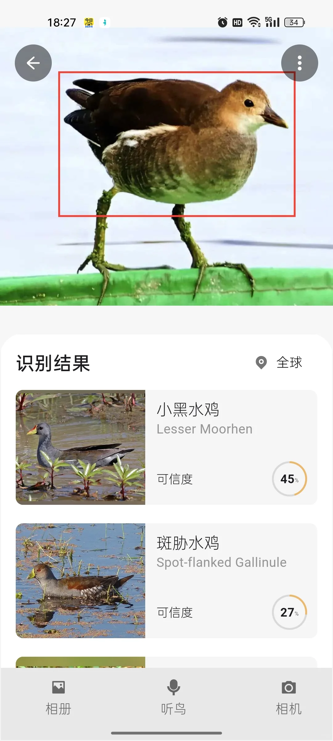 懂鸟app安卓版来了可离线使用