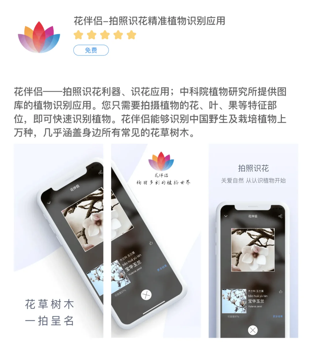 6款识花APP｜春季必备